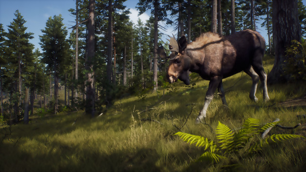 Way of the Hunter: un juego de caza de mundo abierto, solo en PC, PS5 y Xbox Series