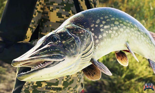 Call of the Wild The Angler: fecha de lanzamiento del primer juego de pesca de mundo abierto