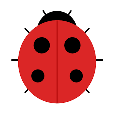 Amount of ladybirds