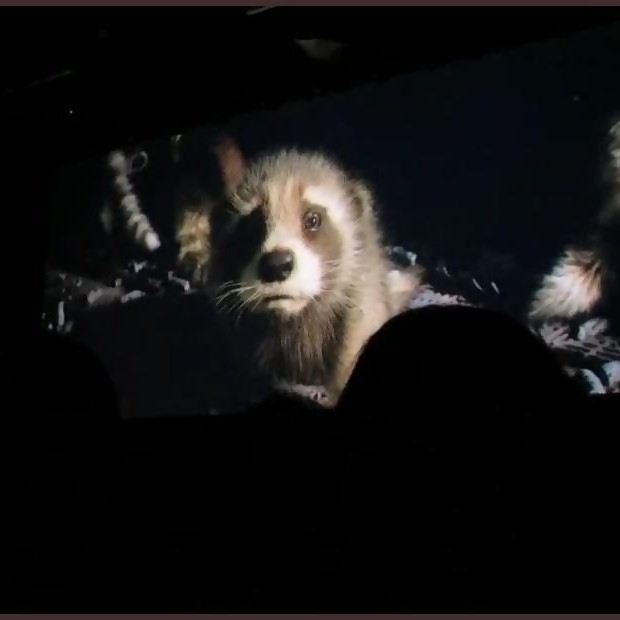 Guardians of the Galaxy 3: the trailer has also leaked, Adam Warlock and Baby Rocket Raccoon are here