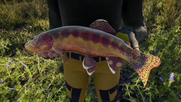 Call of the Wild The Angler: the open world fishing game is out, some shots in 4K video